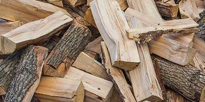 The Branch Office Tree Service - Chain-o-Lakes - Emergency Tree Services